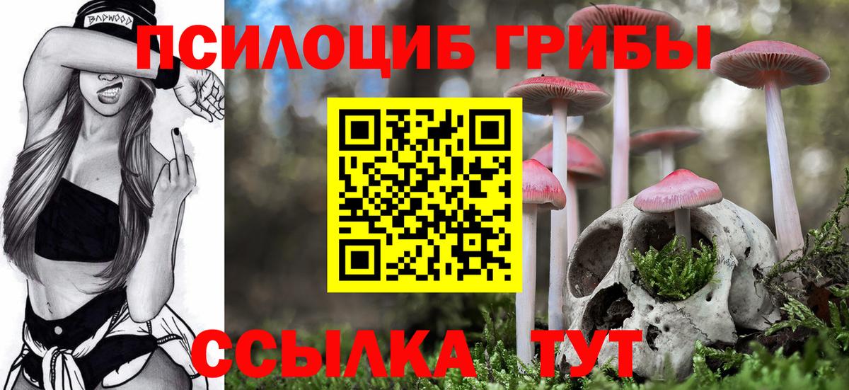 Псилоцибиновые грибы Cubensis Заречный
