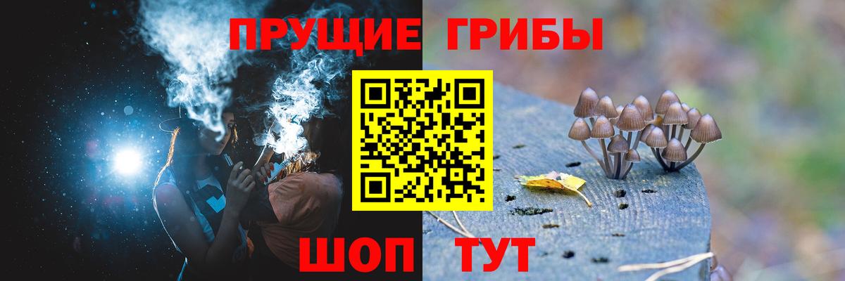 Заречный  Галлюциногенные грибы Magic Shrooms  Псилоцибиновые грибы Magic Shrooms  Вход с VPN 